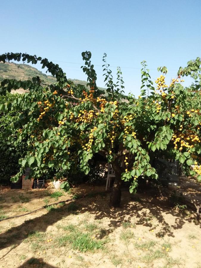 La Cuntintizza