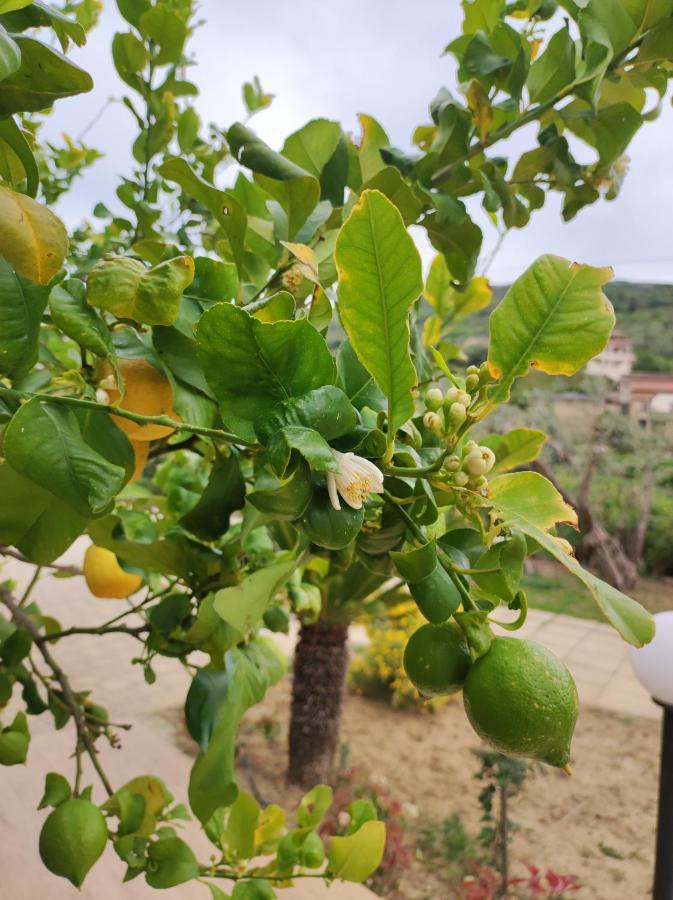 Hébergement de vacances La Cuntintizza San Michele di Ganzaria
