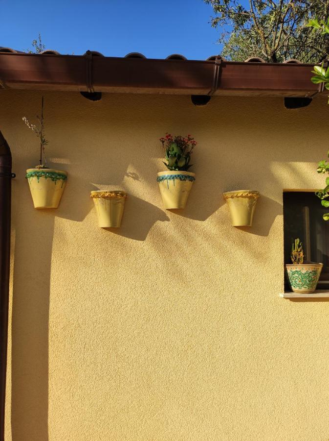 La Cuntintizza *